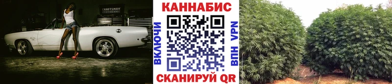 Купить закладку АМФ  Меф  Псилоцибиновые грибы  ГАШИШ  Марихуана  Alpha PVP  Вилючинск