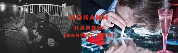 крисы Алзамай