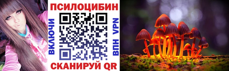 Псилоцибиновые грибы мицелий  Купить  Вилючинск 