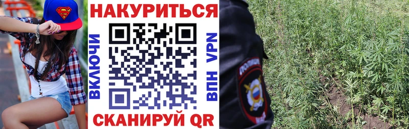 Канабис семена  Купить  Вилючинск 